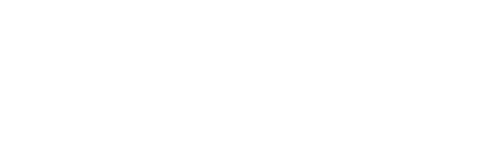 ToxTest - Der Schwermetalltest nach Mobilisation zum Selbermachen